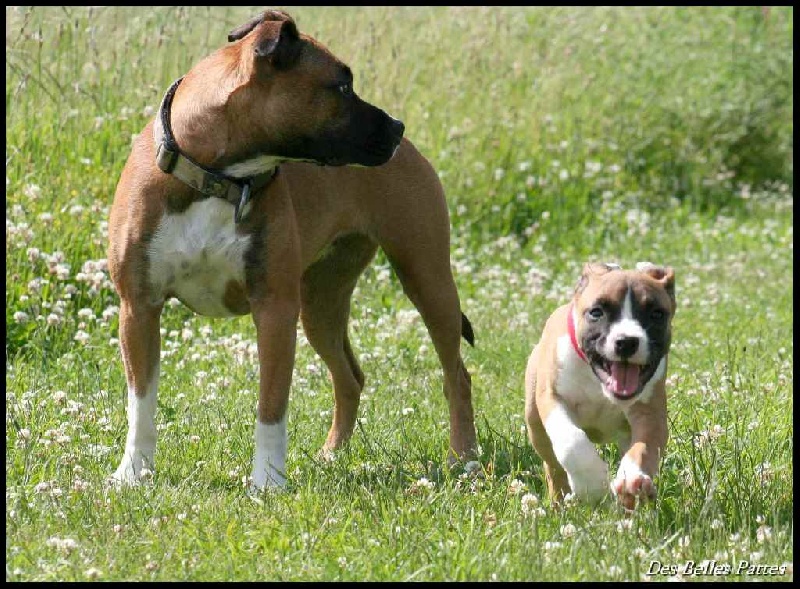 En ballade